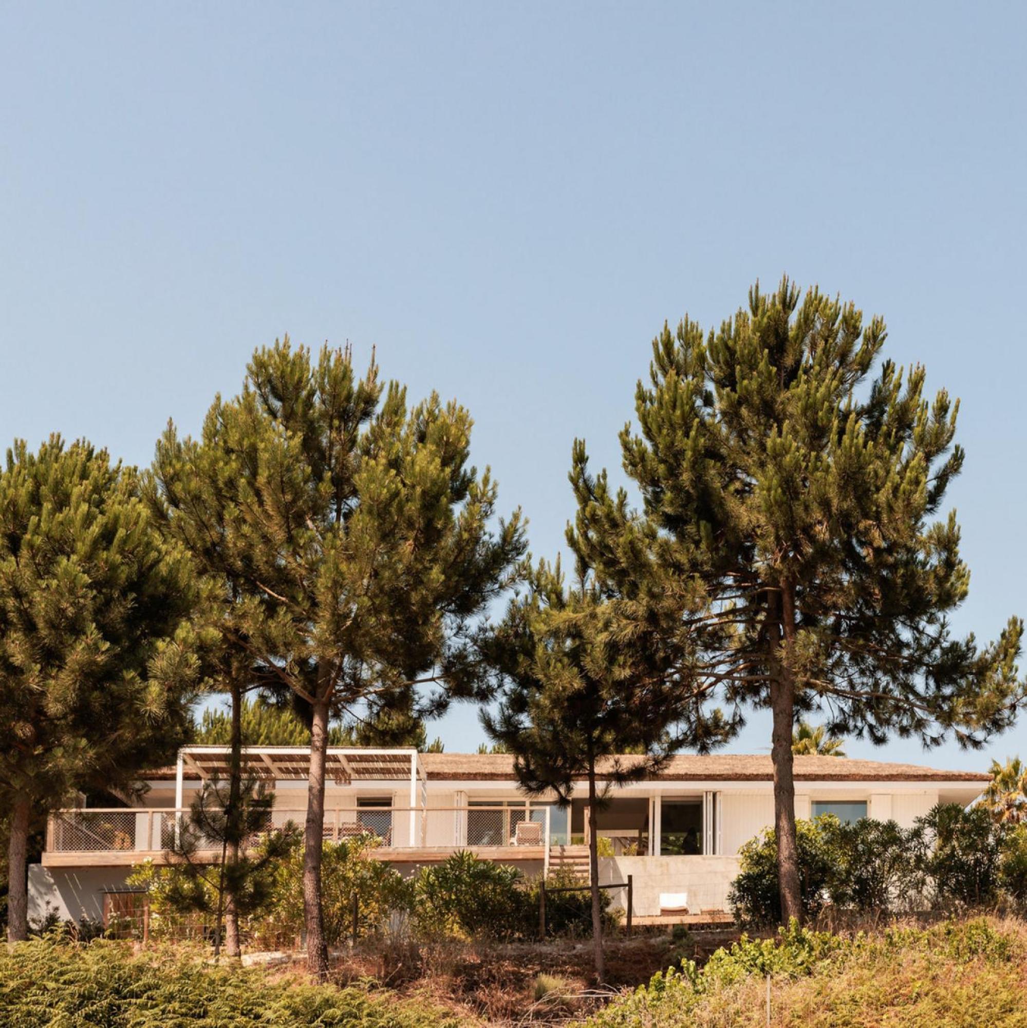 Campo De Arroz Villa Carvalhal  Exteriör bild
